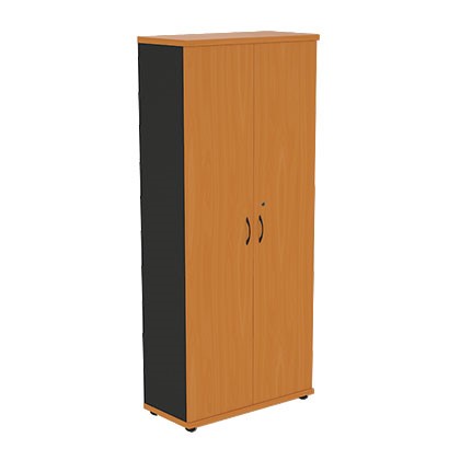 Шкаф 2-дверный Моно-Люкс R5S05 в Вологде - изображение