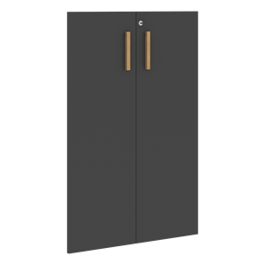 Средние двери для шкафов с замком FORTA Черный Графит FMD 40-2(Z) (794х18х1164) в Вологде