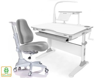 Растущая парта + стул Mealux EVO Evo-30 G (арт. Evo-30 G + Y-528 G) (дерево)/(стол+полка+кресло+чехол+лампа)/ белая столешница (дерево), цвет пластика серый в Вологде