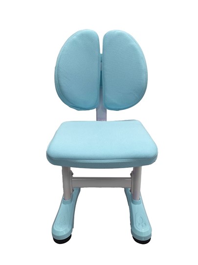 Парта растущая и стул Carezza Blue FUNDESK в Вологде - изображение 11